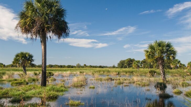 7 US Coastal Regions Where Erosion Risk Threatens Beloved Wildlife Habitats