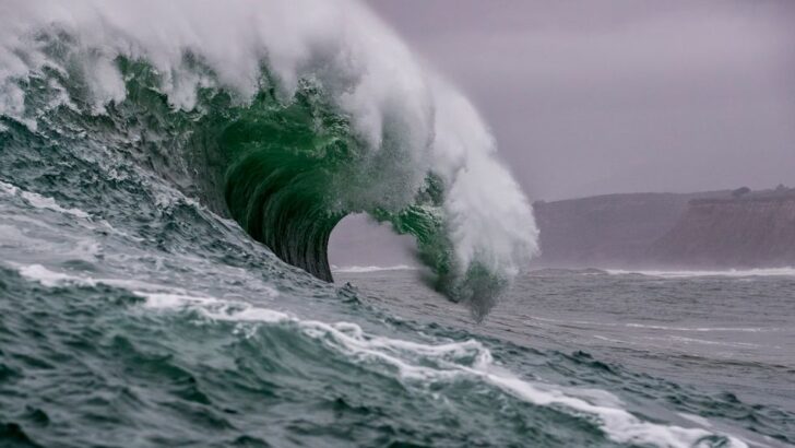 The largest recorded tsunami profoundly altered coastal landscapes and marine life for decades.