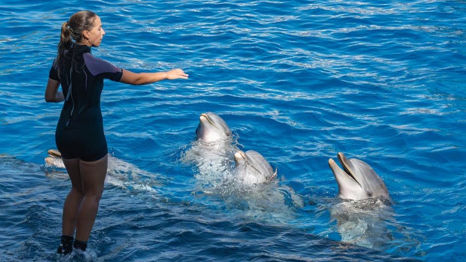 The Astonishing Intelligence of Marine Mammals Will Surprise You