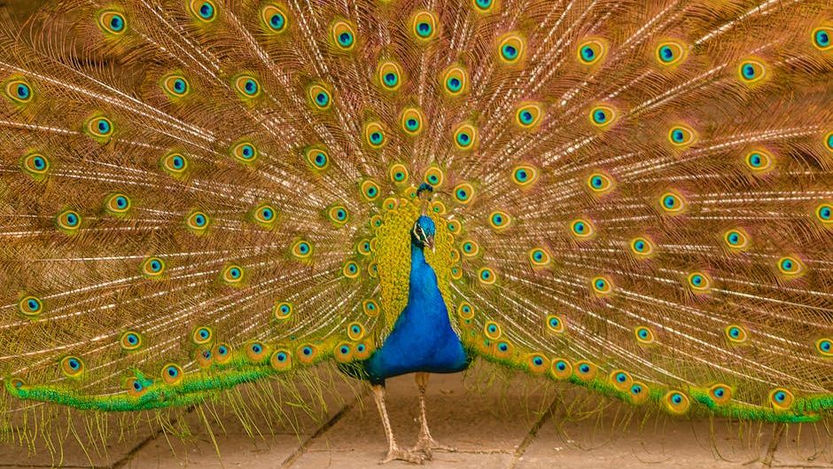 The Silent Language: How 9 Animals Communicate Without a Sound