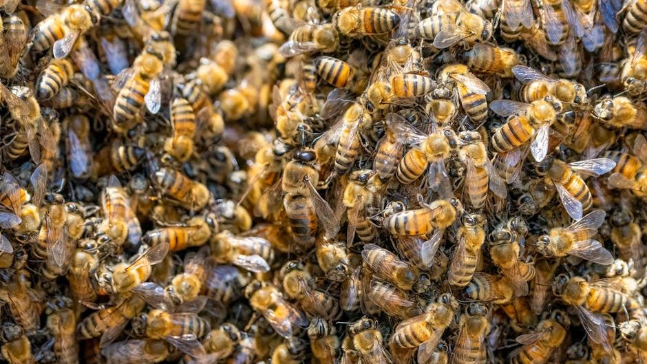 Scientists Found a Truly Massive Bee Population Hiding Under a New York Cemetery
