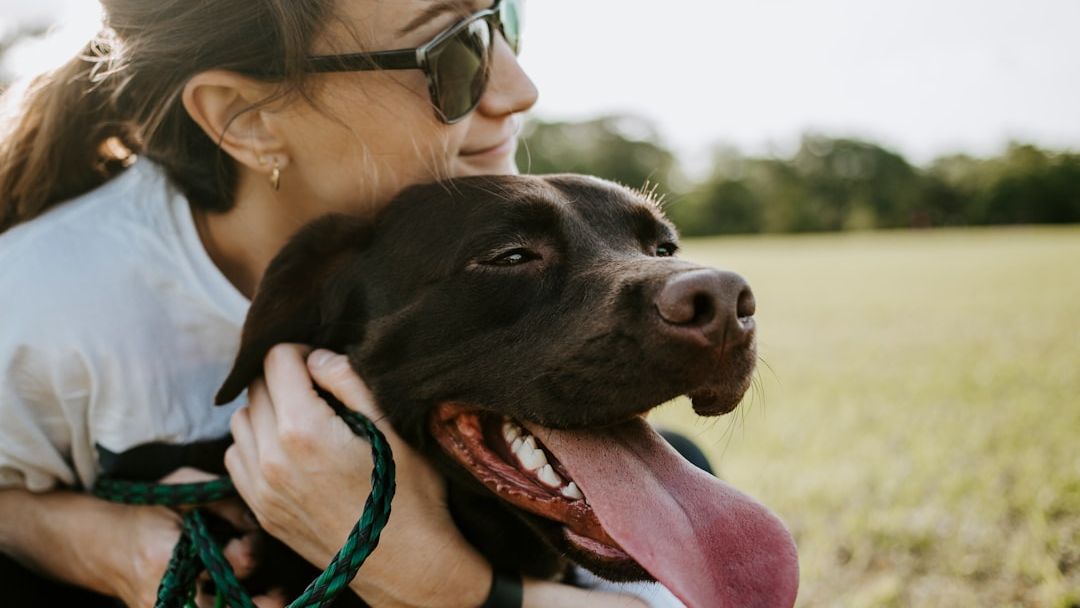 20 Things Dogs Do That Mean "I Love You" in Their Language