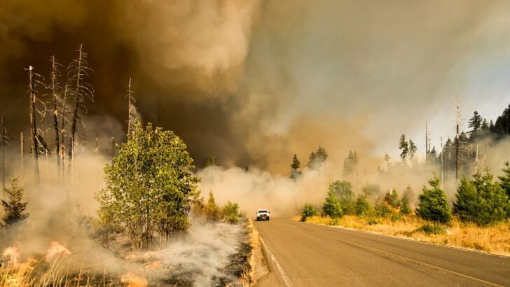 Record Wildfires Scorch Southeast Georgia, Leveling More Than 120 Homes
