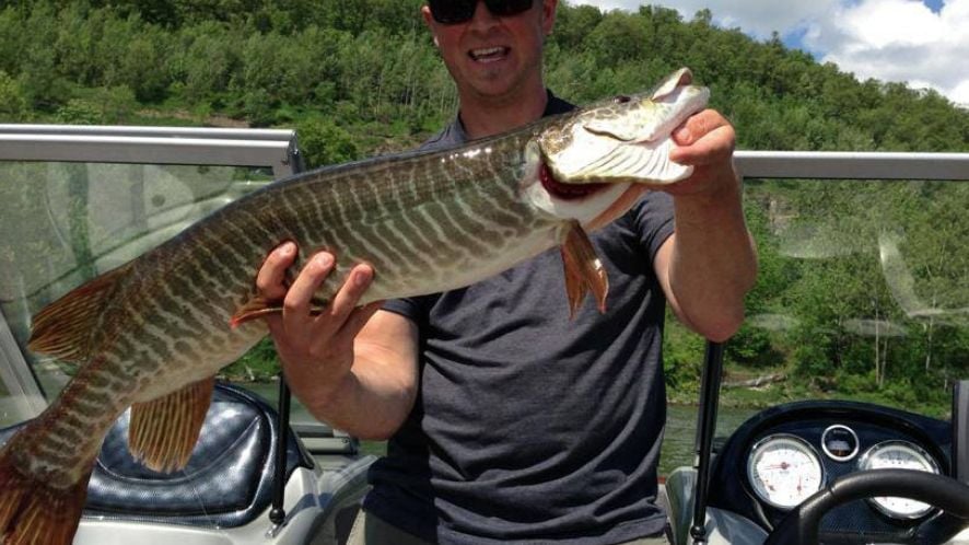 11 Amazing Aquatic Animals Found in US Freshwater Lakes