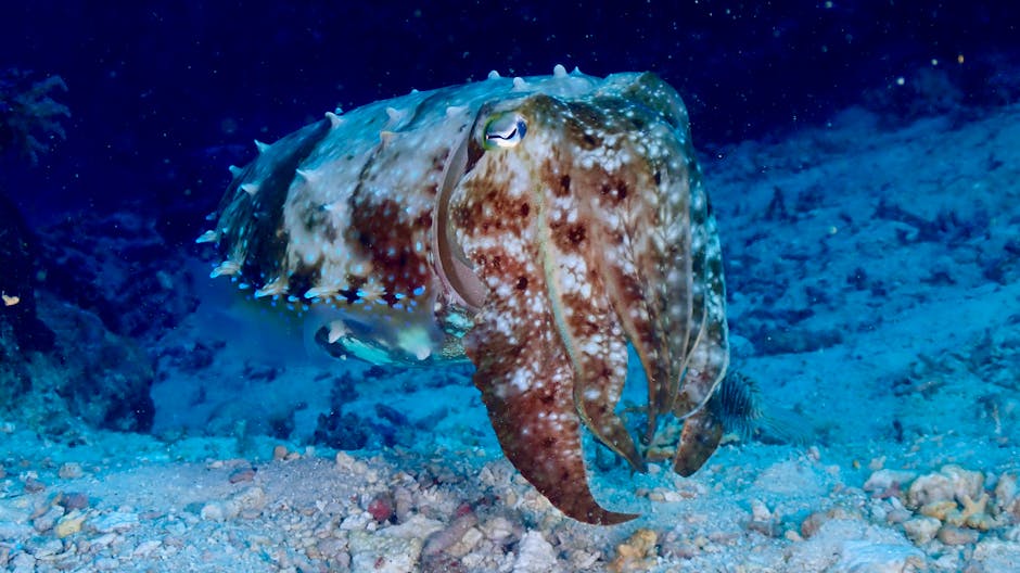 7 Incredible Ways Animals Communicate That We Are Just Beginning to Understand