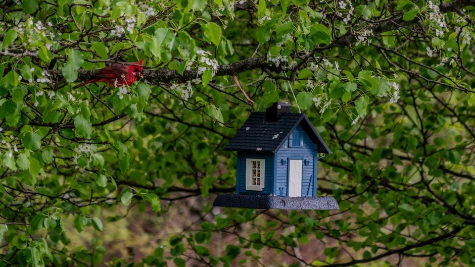 8 Ways to Help Local Wildlife Thrive in Your Own Backyard This Spring