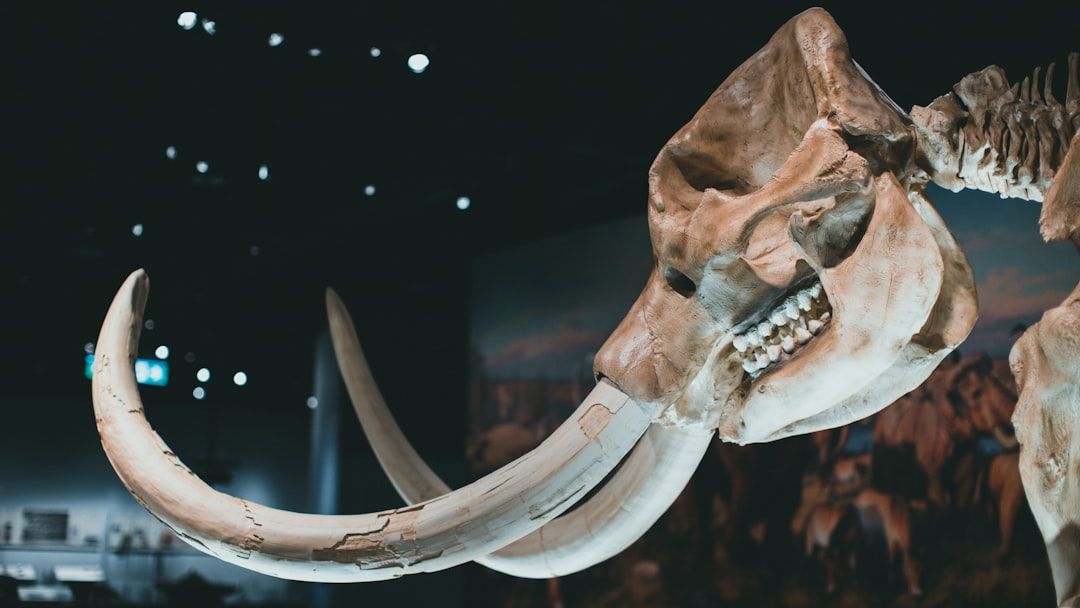 How giants that vanished 10,000 years ago triggered ripple effects that are still felt today