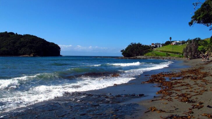 Our Oceans Are Showing Signs of Healing Thanks to Dedicated Global Efforts