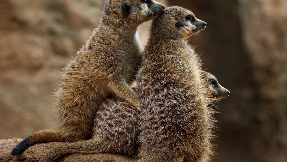 The Resilient Spirit of Animals Inspires Us All to Overcome Challenges
