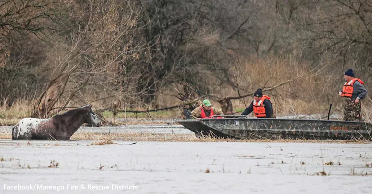 Floodwaters Turn Creek into Hazard Zone (Image Credits: Facebook)