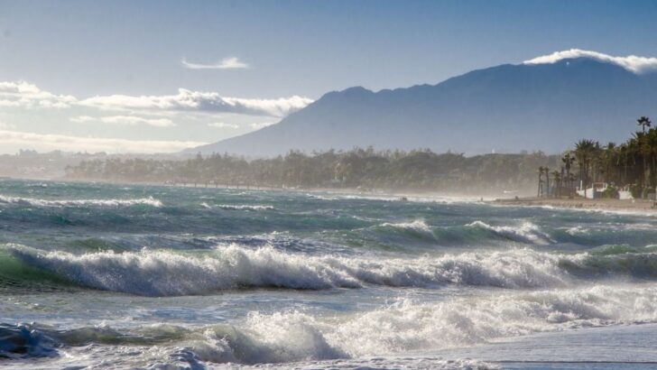 El Niño Gathers Force: Subsurface Warming Accelerates Summer 2026 Forecast