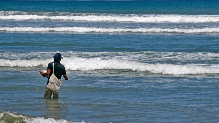 NOAA Meteorologist Flags Unusually Swift Pivot to Potential Record El Niño
