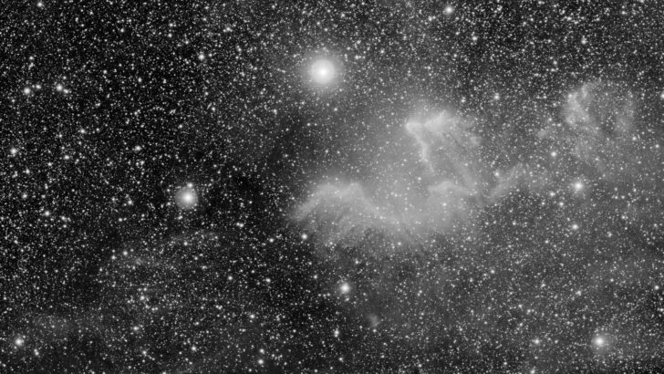 Hidden White Dwarf Unlocks 50-Year Gamma Cassiopeiae X-Ray Puzzle
