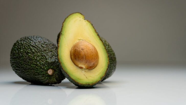 Avocado for Dogs: Tiny Flesh Bites Okay, But Pits Pose Deadly Risks