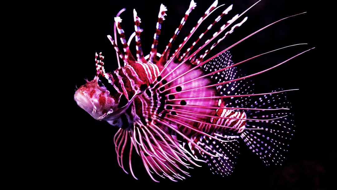 8 Worst Invasive Animals in the United States