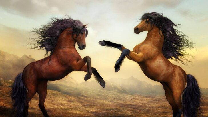 The Zodiac Signs That Connect Deeply With Horses