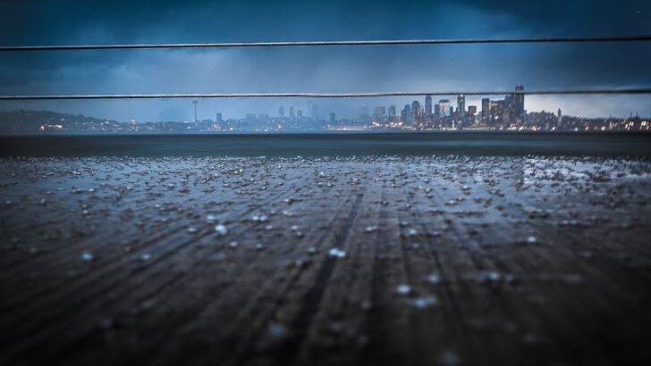 D.C. Region Gets Drought Relief from Midweek Showers After Warm Winds