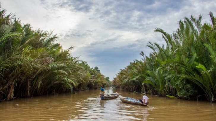 Mekong Delta&rsquo;s Sediment Crisis Puts Homes and Harvests at Risk