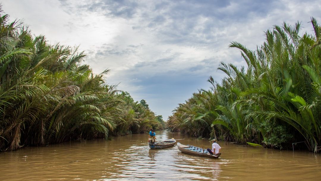 The world’s great deltas are sinking - and with them, a global food system