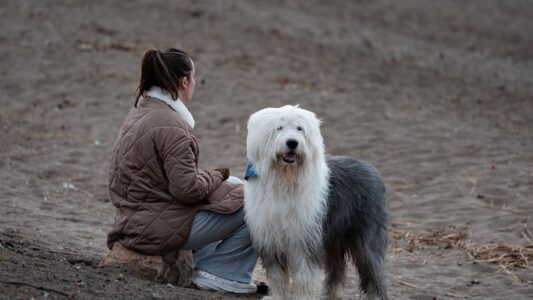 16 Dog Breeds Vets Secretly Wish More Owners Would Actually Choose