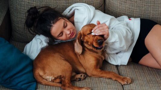 18 Things Your Dog Does Every Day That Actually Mean &ldquo;I Trust You Completely&rdquo;