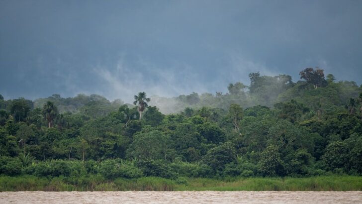 Amazon Dark Earth Discovery: Possibly The Most Significant Climate Science Breakthrough Since the Carbon Cycle