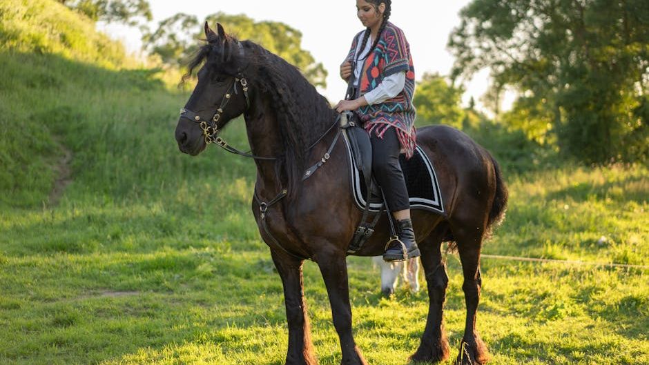 The Horse Personality That Best Fits Each Zodiac Sign