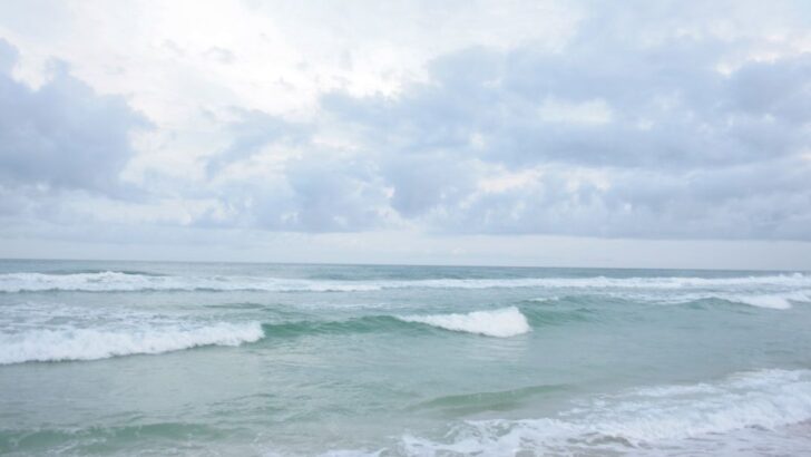 Something Weird is Happening in The Gulf of Mexico (Say Researchers)