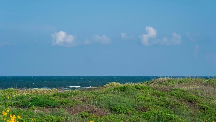 Corpus Christi Nears Water Emergency as Drought and Growth Strain Resources