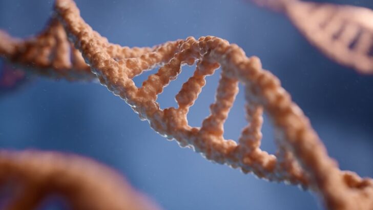 Proteins Preserved in Homo Erectus Teeth Reveal How Denisovans Gave Humans Their DNA
