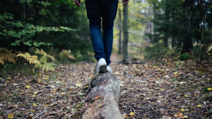 Two Hours of Weekly Nature Time Linked to Stronger Health and Wellbeing in Large Study