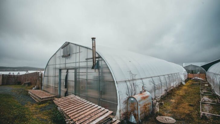 Pennsylvania Greenhouse Uses Soil to Store Solar Heat