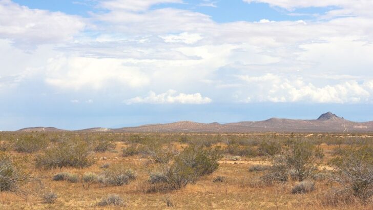 The US Desert That Was Once Covered by an Ancient Ocean