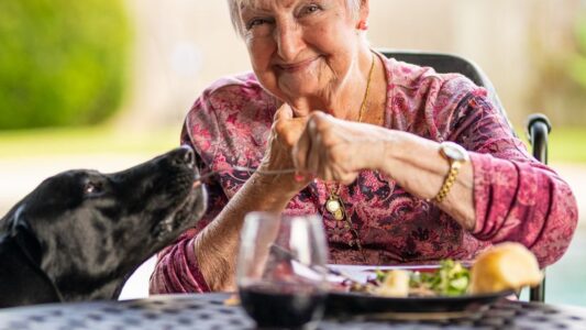 10 Worst Dog Breeds For People Over 50