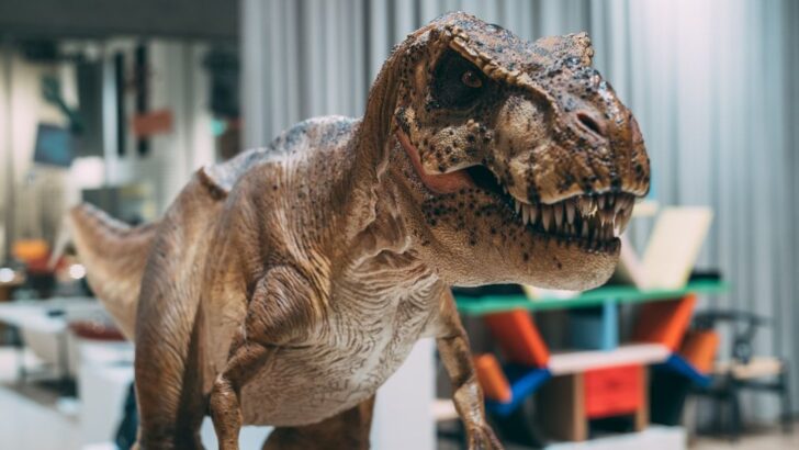 T. Rex’s Tiny Arms Likely Resulted From Its Skull Taking Over as the Main Weapon