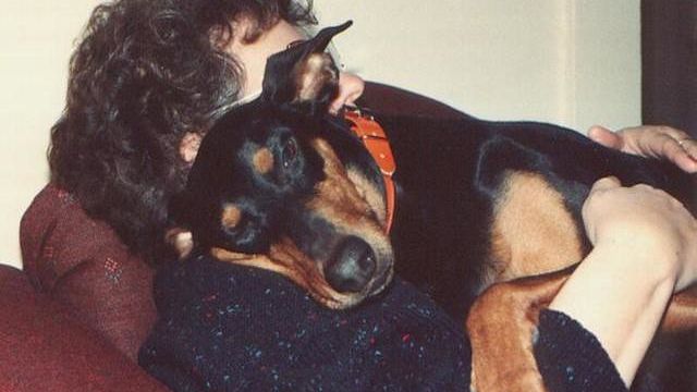 13 Dog Breeds That Stay Emotionally Attached for Their Entire Lives