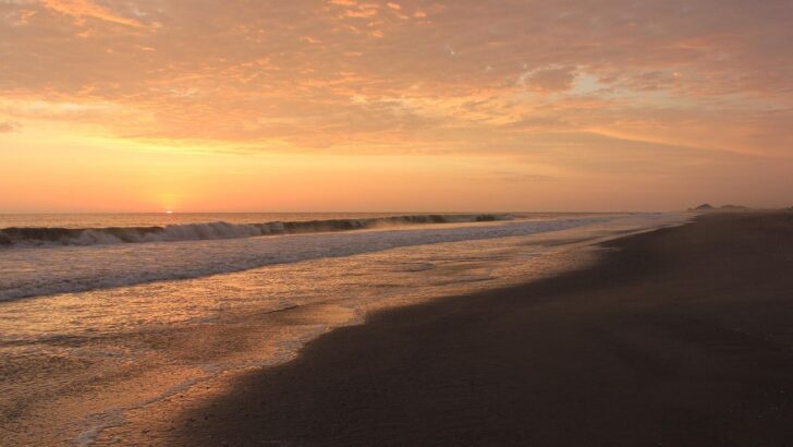 DNA Evidence Reveals Early Migration Networks and Family Ties Along Peru’s Coast