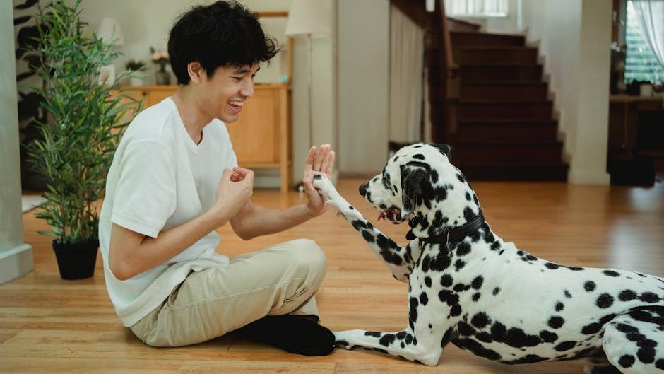 Psychology Says Dogs Need Emotional Stability Just as Much as Physical Care