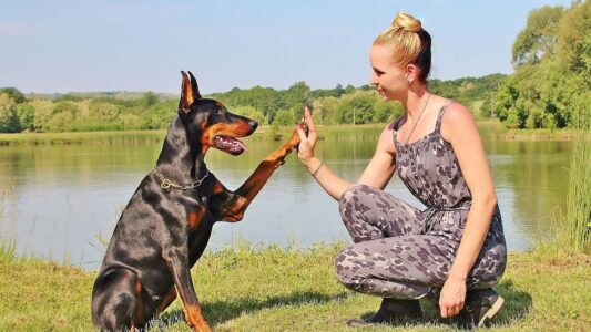 15 Dog Breeds Vets Secretly Wish Were Left to Experienced Owners Only