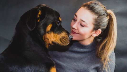 39 Signs You&rsquo;re an Old-School Dog Owner (And Your Vet Still Approves)