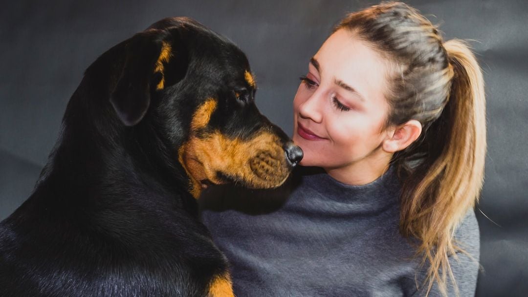 39 Signs You're an Old-School Dog Owner (And Your Vet Still Approves)