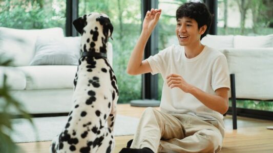 The One Word You Should Never Say Around Your Dog (Trainers Are Begging You)