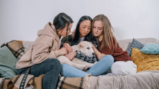 Dog Breeds That Refuse To Eat When Their Owner Is Sick