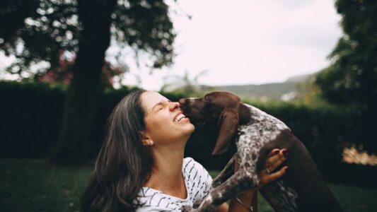 What Happens to Your Dog When You Ignore Them for Just One Day