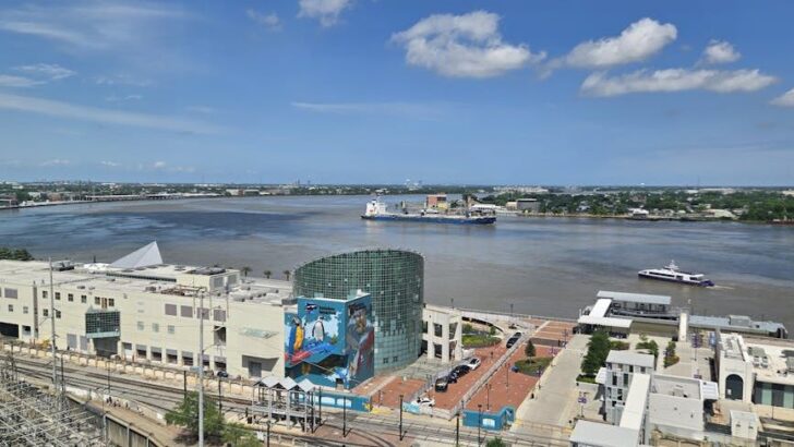 Rising Seas Will Swallow New Orleans. People Need to Start Relocating Now, Scientists Say