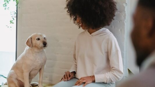 Psychology Says People Who Talk to Their Dogs Aren&rsquo;t Losing It &ndash; They&rsquo;re Actually Problem-Solving at a Level Most People Can&rsquo;t Access