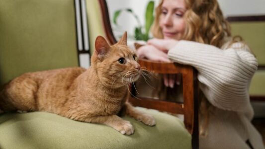 8 Cat Behaviors That Mean They&rsquo;re Trying to Warn You About Danger