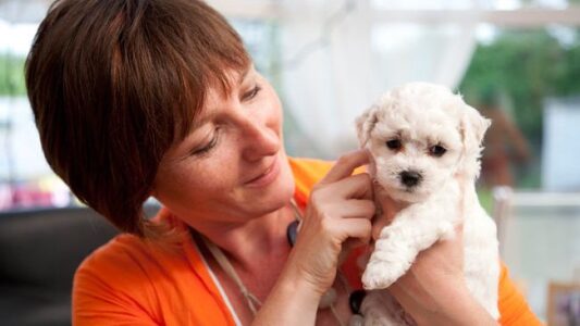 7 Dog Breeds That Refuse to Sleep Unless You&rsquo;re in the Room