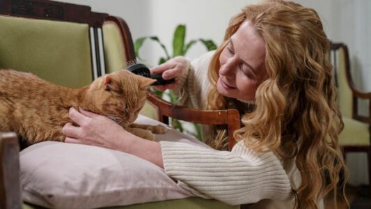 10 Things Your Cat Does Only When They Think You&rsquo;re Asleep