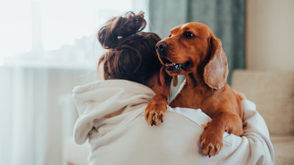 What Happens to Your Dog's Brain When You Say Goodbye Every Morning